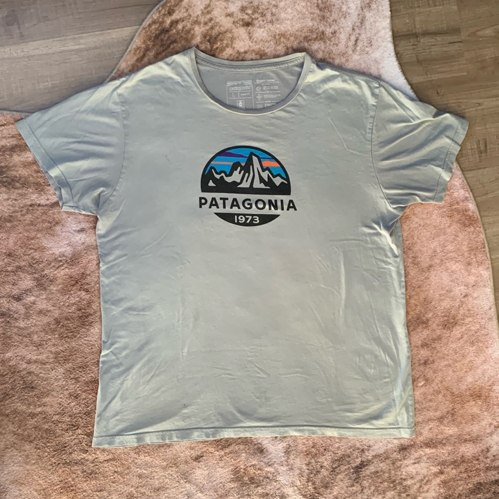 Patagonia tee large